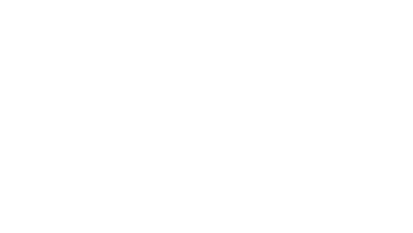 logo vivaldi